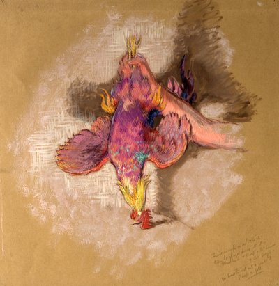 Estudio de un brazo y una mano sosteniendo un ave por las patas para "Highland Raiders", c.1918 de William Shackleton
